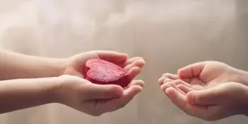 Сердце на ладонях