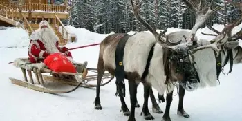 Экскурсия в Березинский заповедник