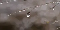 Капелька безопасности