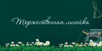 Торжественная линейка