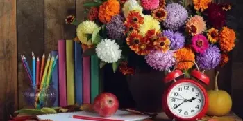 Шестой школьный день