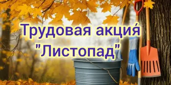 Акция "Листопад"