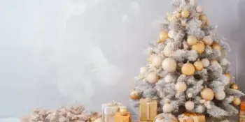 Главная елка страны