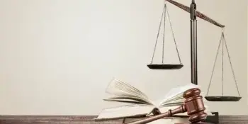 Акция "Дерево наших прав и обязанностей"