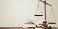 Акция "Дерево наших прав и обязанностей"