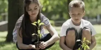 Высадка аллеи "Мы - будущее нашей школы"