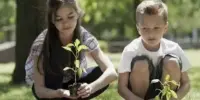 Высадка аллеи "Мы - будущее нашей школы"