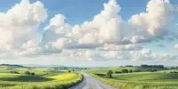 "Летний маршрут: остановка дружба"